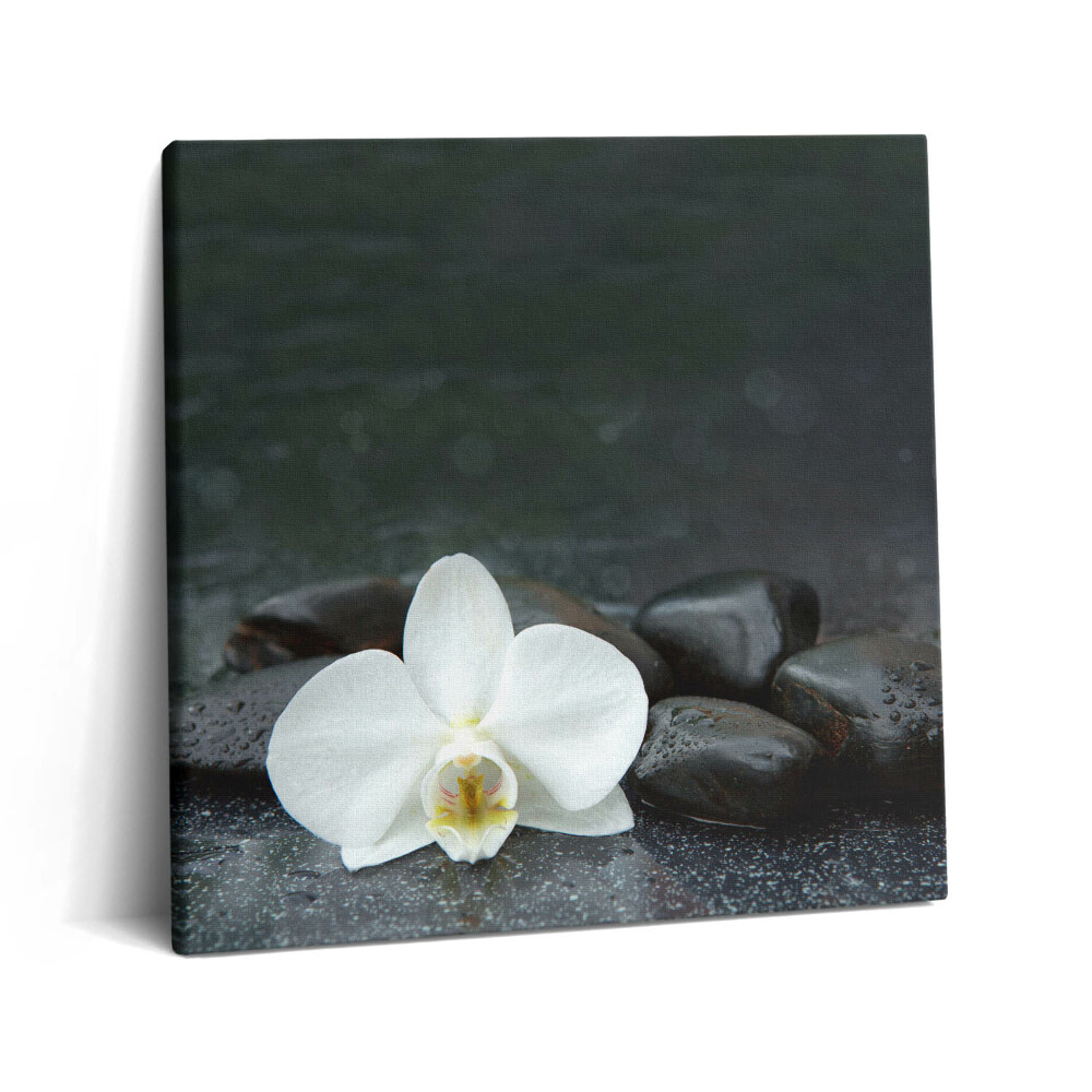 Vászonkép 60x60 Zen kövek fehér virágokkal