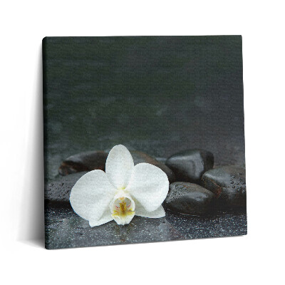 Vászonkép 60x60 Zen kövek fehér virágokkal