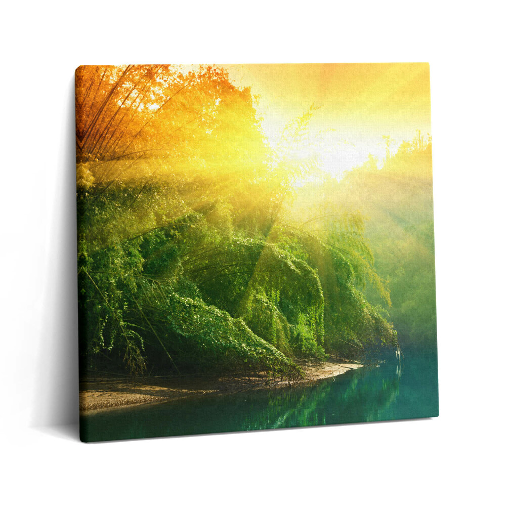 Vászonkép 60x60 Természeti táj a napsütésben