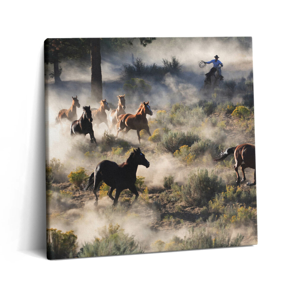 Vászonkép 60x60 Galoppozó lócsorda
