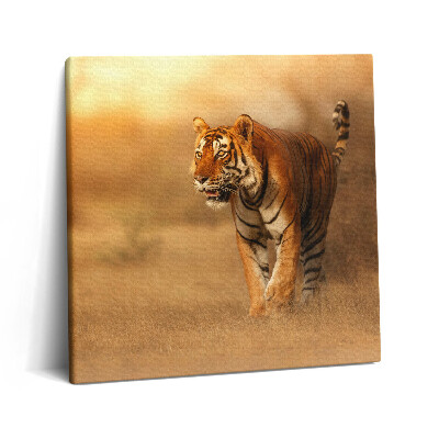 Vászonkép 60x60 Vad tigris vadászaton