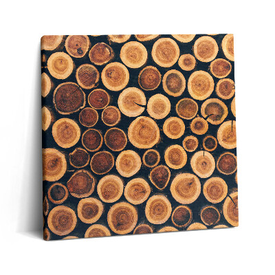 Vászonkép 60x60 Fa fatörzsek