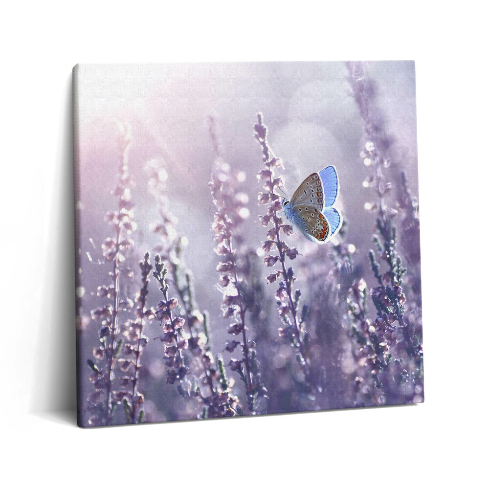 Vászonkép 60x60 Pillangó mezei virágokon