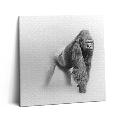 Vászonkép 60x60 Vadon élő állatok gyűjteménye