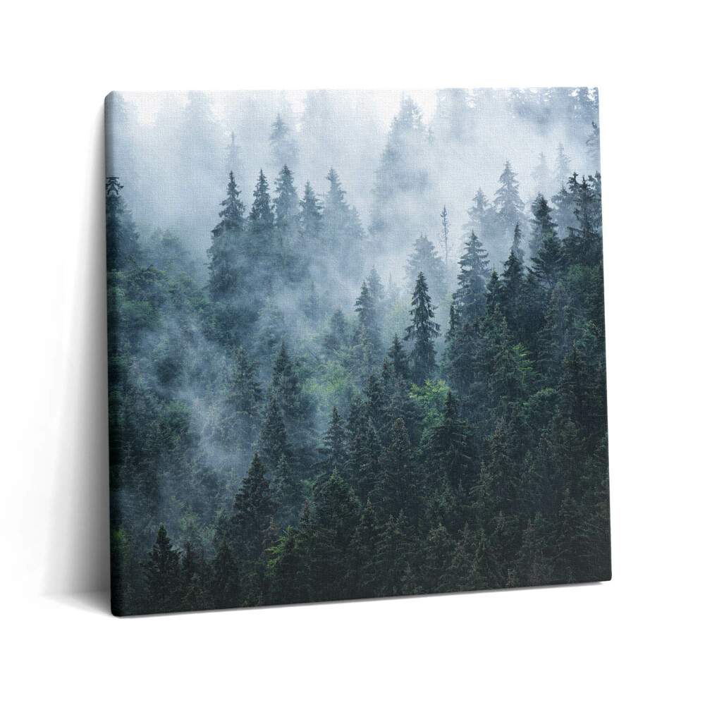 Vászonkép 60x60 Ködös hegyi táj