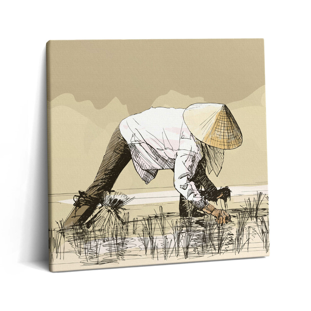 Vászonkép 60x60 Két nő rizst szed Ázsiában