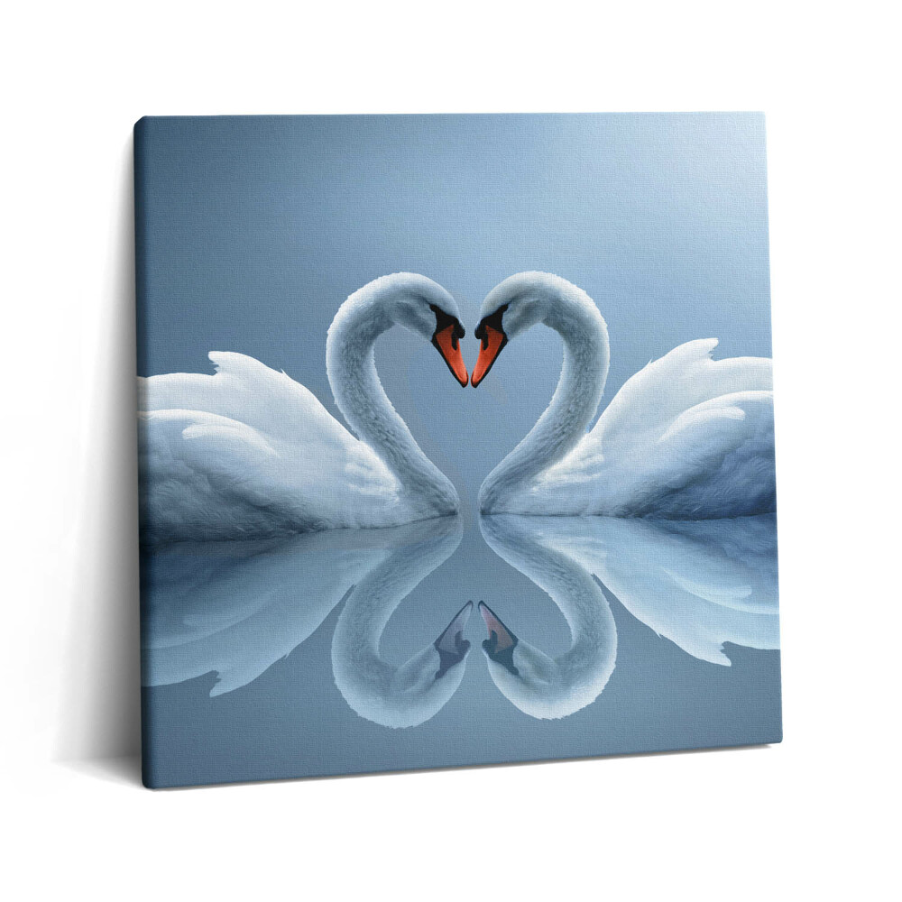 Vászonkép 60x60 Hattyúk a szerelem jeleként