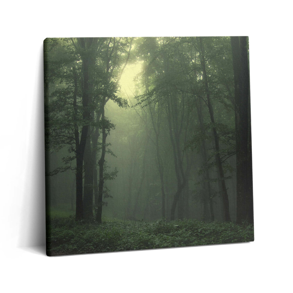 Vászonkép 60x60 Ködös erdő reggel