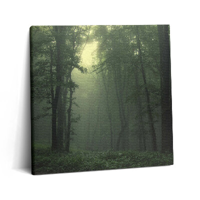 Vászonkép 60x60 Ködös erdő reggel