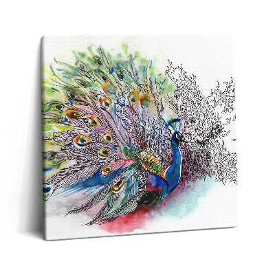 Vászonkép 60x60 Színes páva