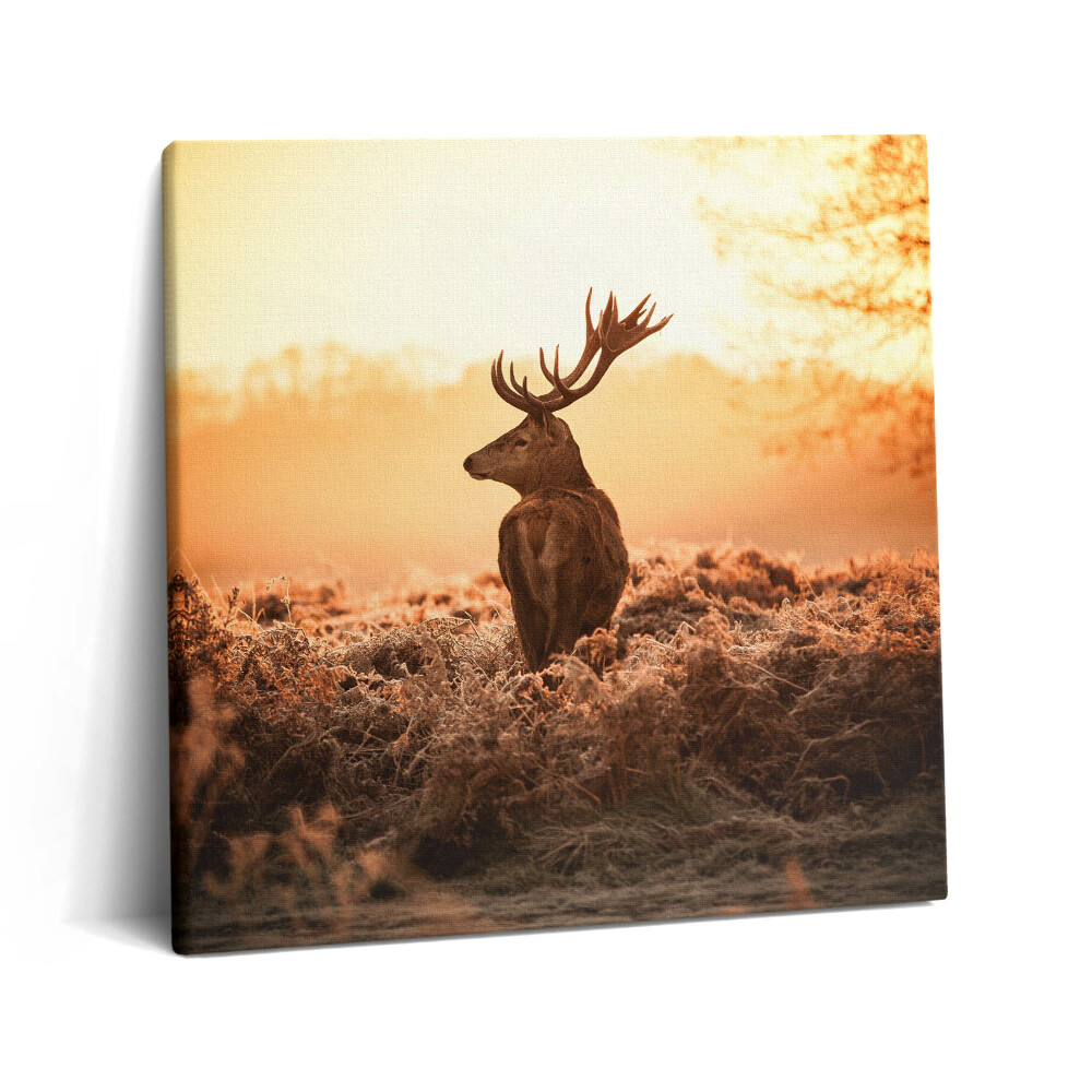 Vászonkép 60x60 Szarvasok napfelkeltekor