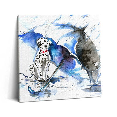Vászonkép 60x60 Dalmát akvarell egy esernyő alatt