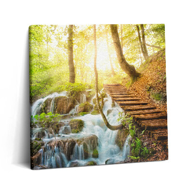 Vászonkép 60x60 Patak és lépcső az erdőben