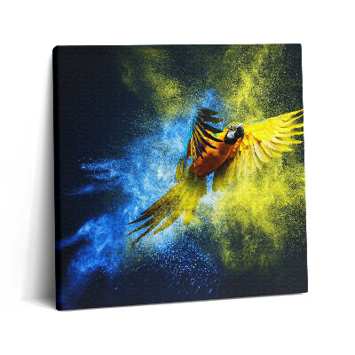 Vászonkép 60x60 Színes papagáj