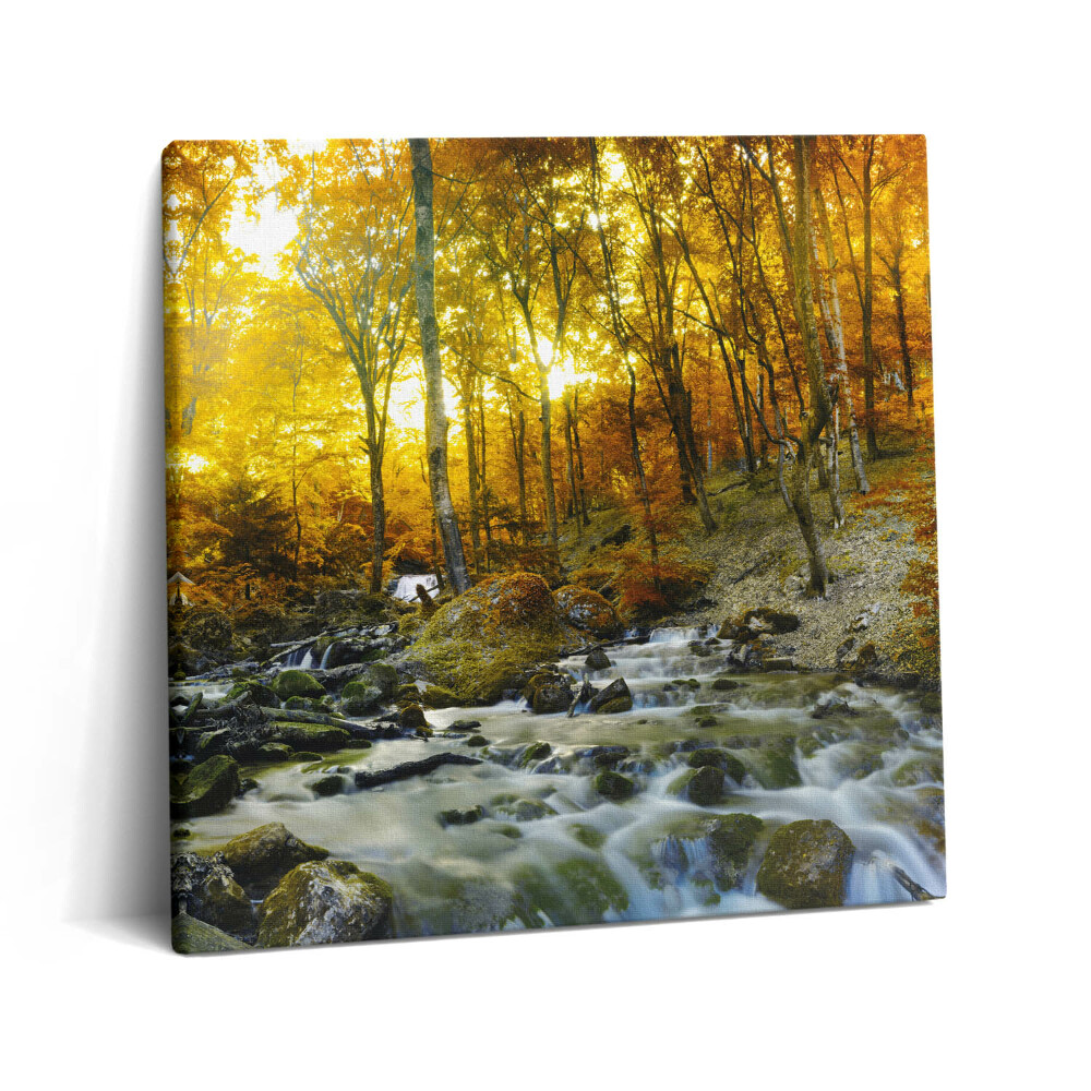 Vászonkép 60x60 őszi erdő