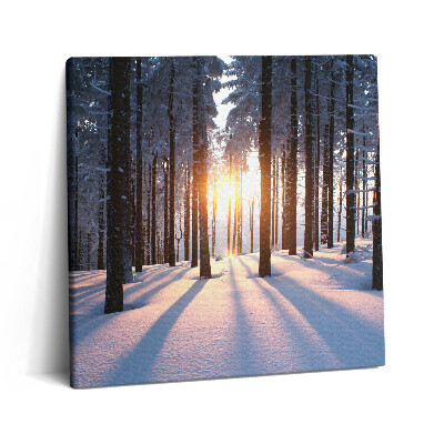 Vászonkép 60x60 Naplemente és erdő télen