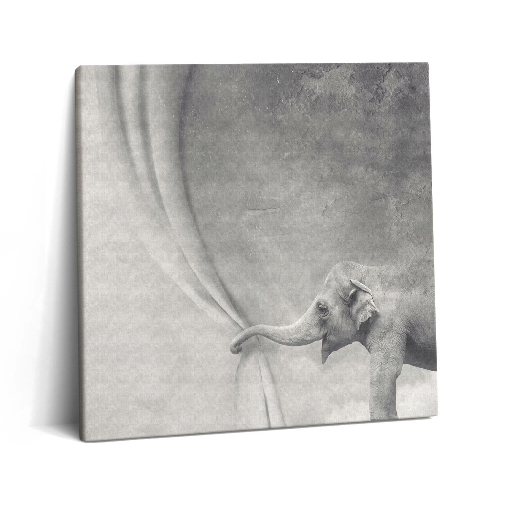 Vászonkép 60x60 Elefánt a függöny mögött