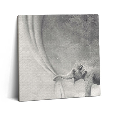 Vászonkép 60x60 Elefánt a függöny mögött