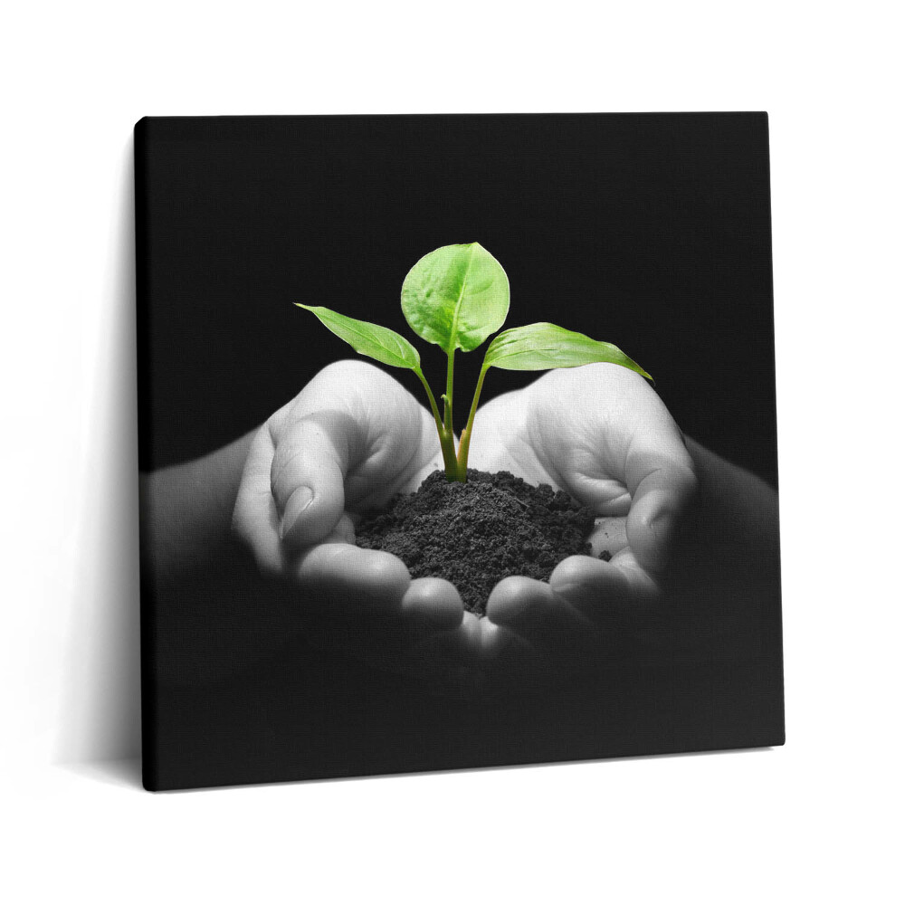 Vászonkép 60x60 Növény a kezében