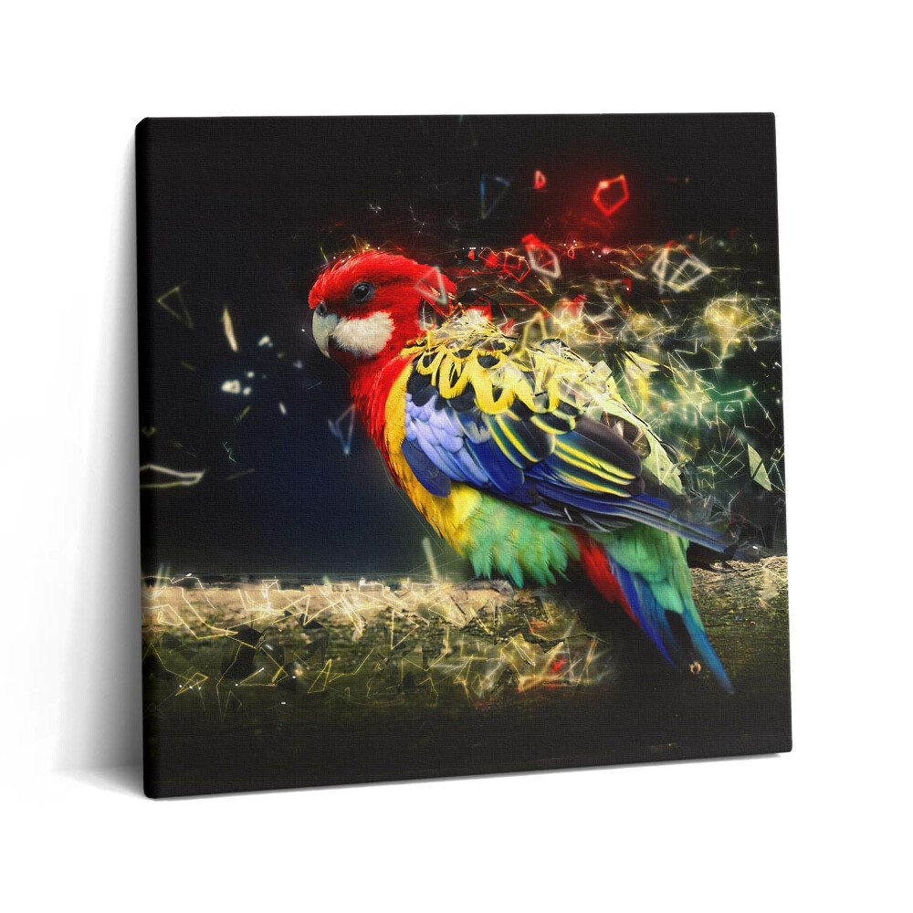 Vászonkép 60x60 Papagáj absztrakció