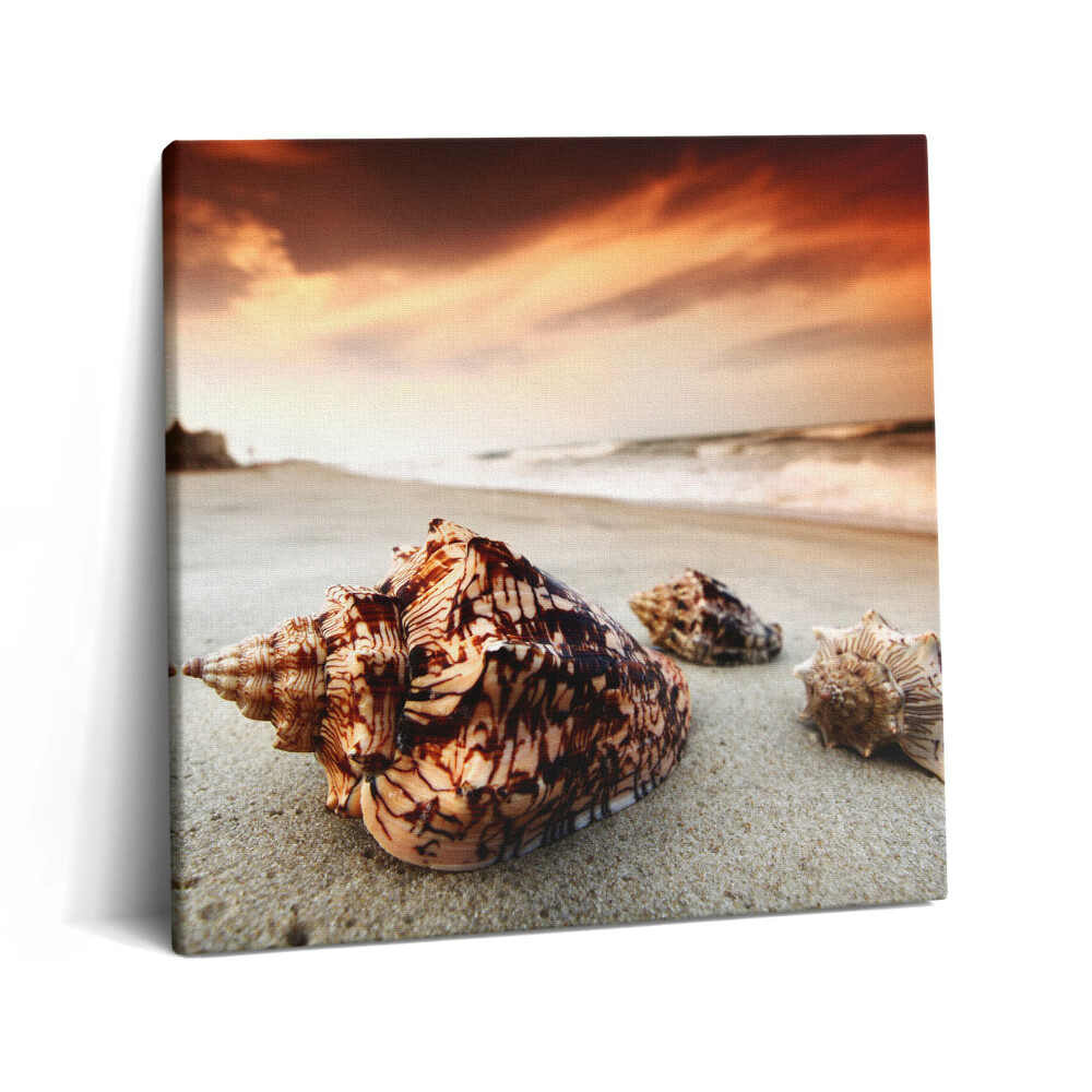 Vászonkép 60x60 Kagylók a tengerparton