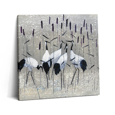 Vászonkép 60x60 Náddaruk