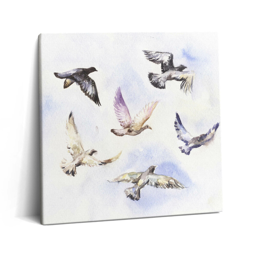 Vászonkép 60x60 Repülő madarak
