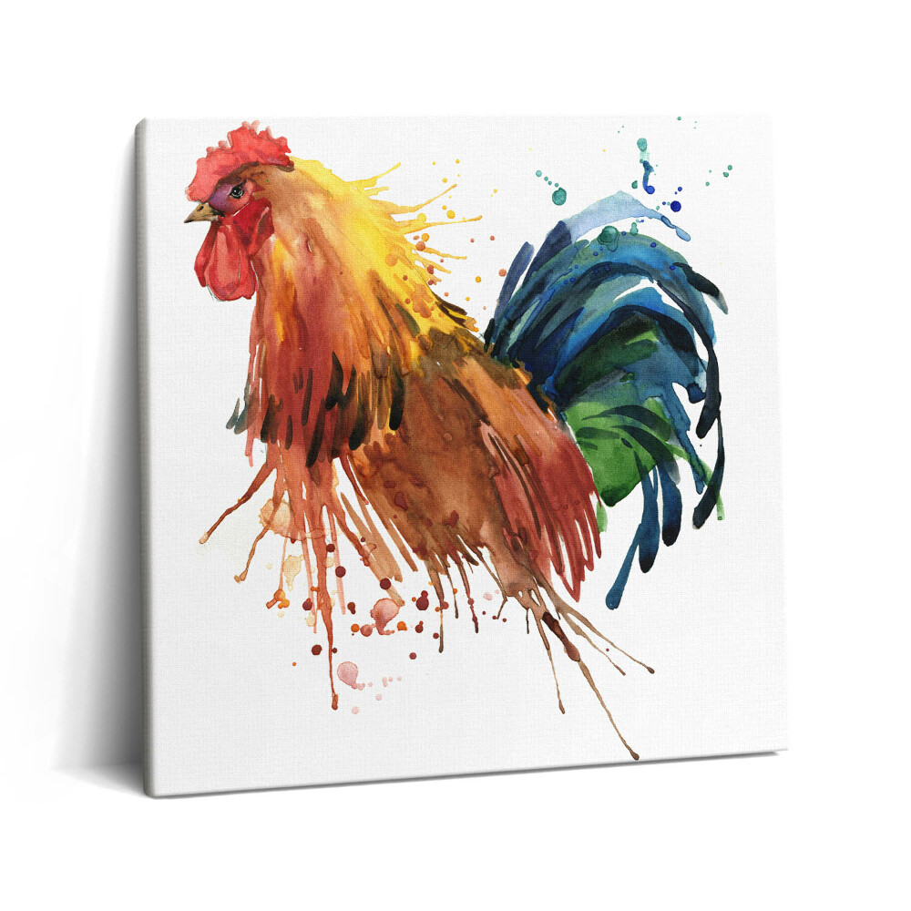 Vászonkép 60x60 Színes kakas