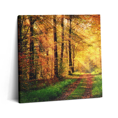 Vászonkép 60x60 Őszi erdei tájkép