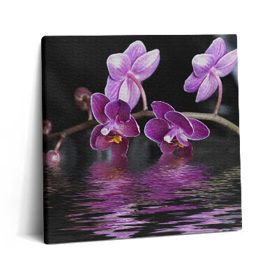 Vászonkép 60x60 Rózsaszín orchidea virág a vízen