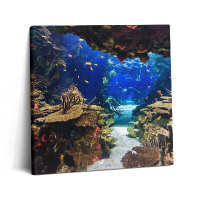 Vászonkép 60x60 Akvárium