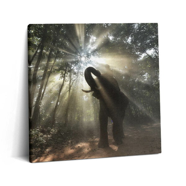 Vászonkép 60x60 Elefánt a dzsungelben