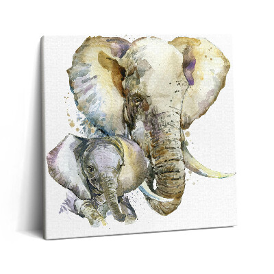 Vászonkép 60x60 Állatok elefánt