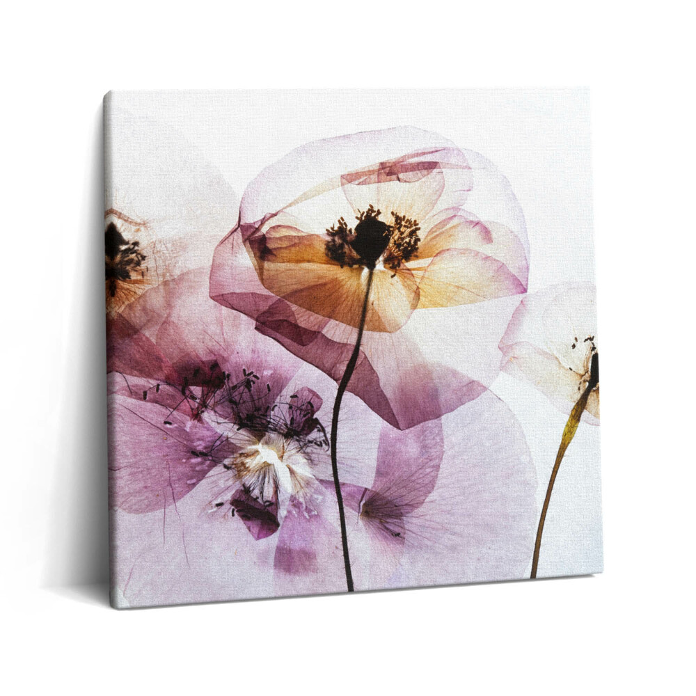 Vászonkép 60x60 Szárított mákvirágok