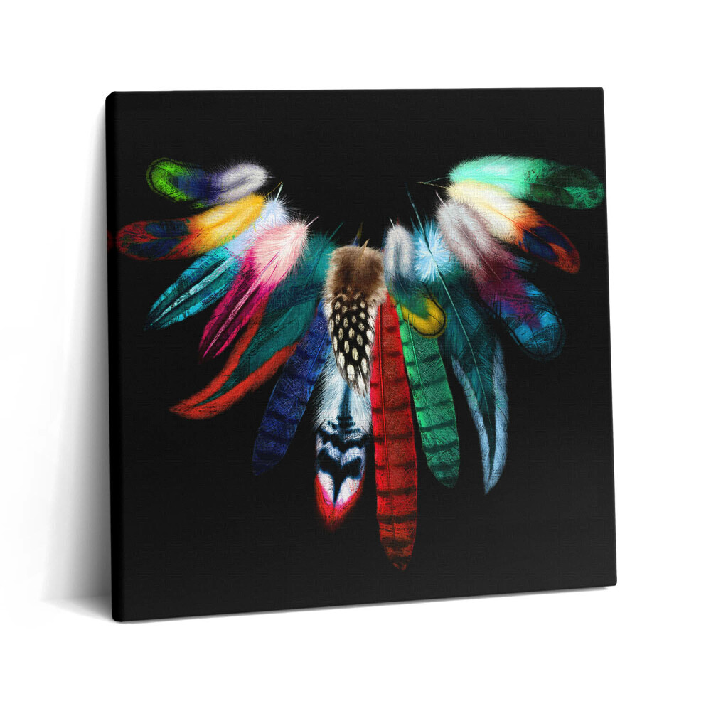 Vászonkép 60x60 Színes madártollak