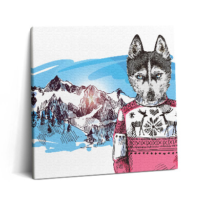 Vászonkép 60x60 Husky pulóverben