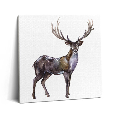Vászonkép 60x60 Szarvas az erdő királya