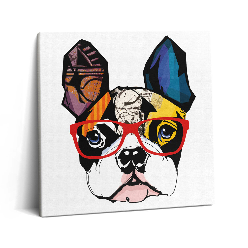 Vászonkép 60x60 Francia bulldog szemüveggel