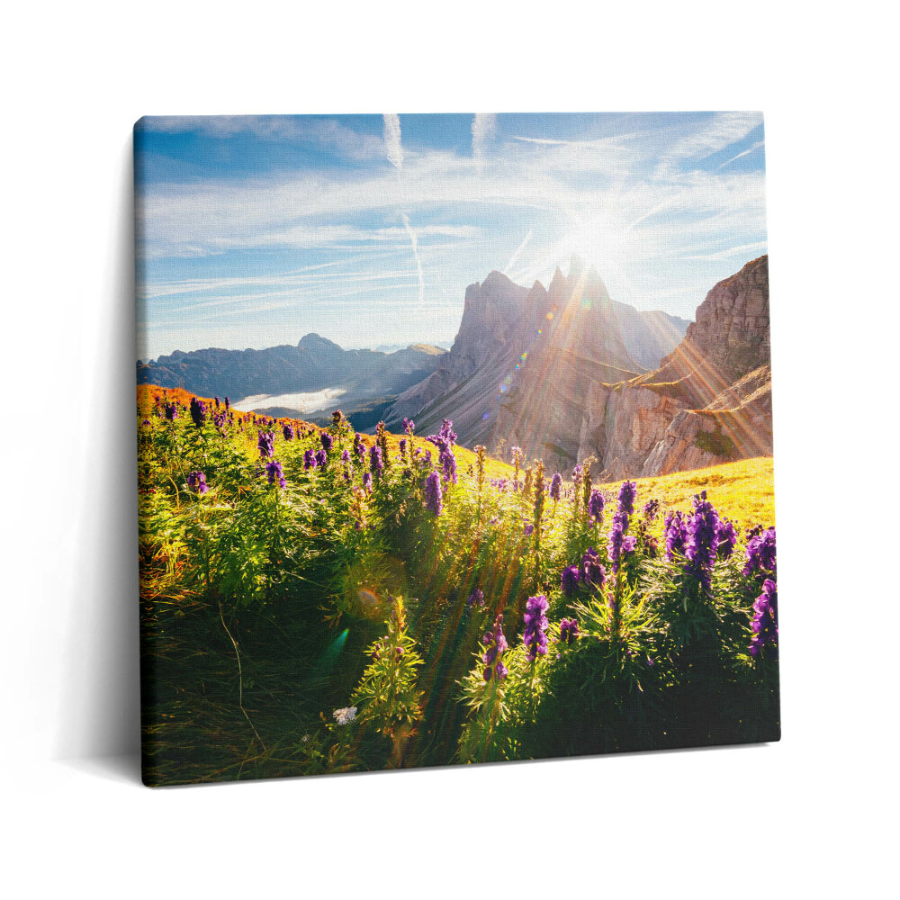 Vászonkép 60x60 Levendula rét