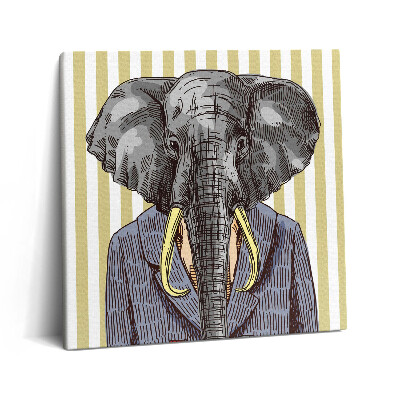Vászonkép 60x60 Elefánt kabátban