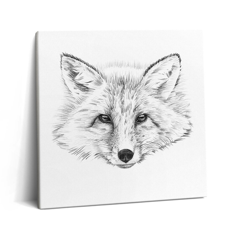 Vászonkép 60x60 Rókafej rajzolása