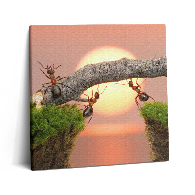 Vászonkép 60x60 Hangyák egy fatörzsön