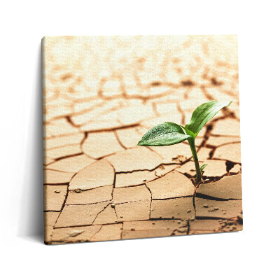 Vászonkép 60x60 Ültetés száraz talajban