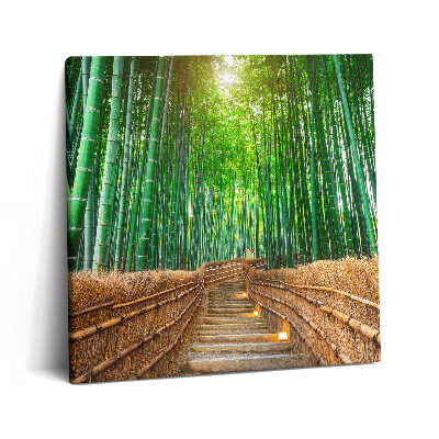 Vászonkép 60x60 Út egy bambuszos erdőben