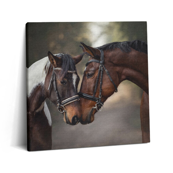 Vászonkép 60x60 Lovak portréja az erdőben