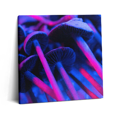 Vászonkép 60x60 Színes varázsgomba