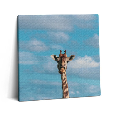 Vászonkép 60x60 Zsiráffej az égen