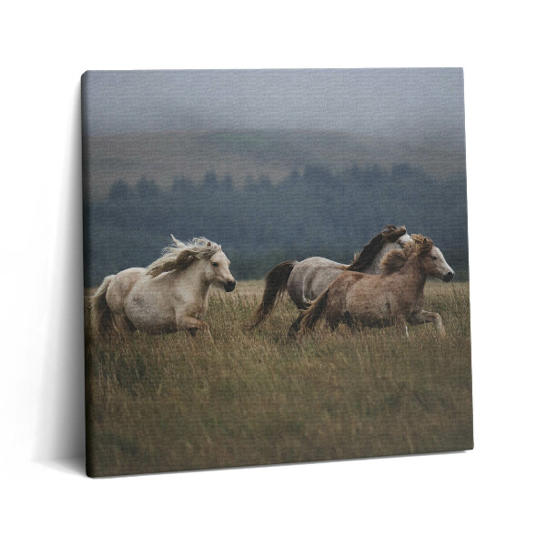 Vászonkép 60x60 Lovak galoppoznak felfelé