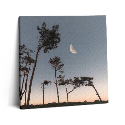 Vászonkép 60x60 Félhold és fák