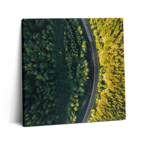 Vászonkép 60x60 Erdő drónról - Hóhegy